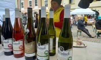 Svatomartinský trh v Třeboni