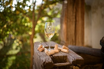 Festival vína Český Krumlov®