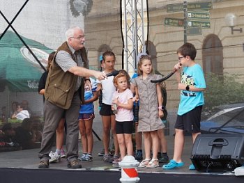 Myslivecká Třeboň