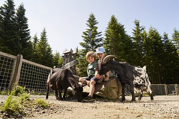 Slavnostní otevření Království lesa