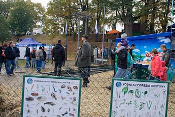 Výlov rybníka Rožmberk