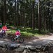 Singletrack Lipno - rodinná terénní cyklotrasa