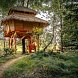 Treehouse Česká Kanada