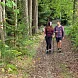 Nordic walking Vimperk