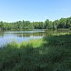 Rybník Bažantník u Nových Hradů